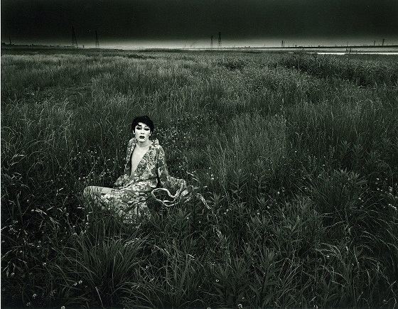 四谷シモン 細江英公 沢渡朔 加納典明 展 Akio Nagasawa Gallery Ginza Tokyo Art Beat