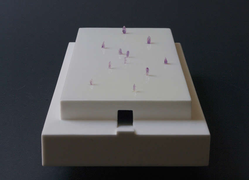 寺田真由美 「温湿シリーズ vol.3 写真と立体 」 （Gallery OUT of