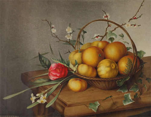 2016_8146?w=784&h=640&q=100