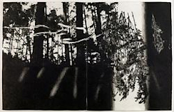 中林忠良の腐蝕銅版画 中林忠良展 : 銅版画--腐蝕と光(茅野市美術館, 中田麻衣子, 前田