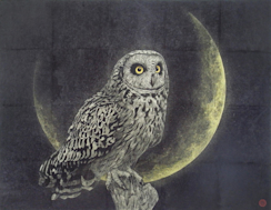 2017_073C?w=244&h=304&q=100