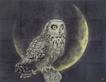 金澤隆 日本画 夜の帳 フクロウ インテリア 額縁 絵画 金澤隆 日本画 夜の帳 フクロウ インテリア 額縁 絵画