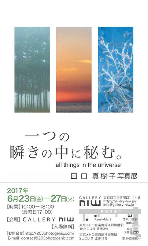 田口真樹子「一つの瞬きの中に秘む。」 （Gallery NIW（ギャラリーニウ