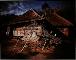 2017_2579?w=244&h=304&q=100