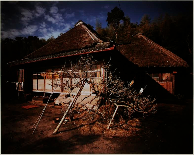 2017_2579?w=784&h=640&q=100