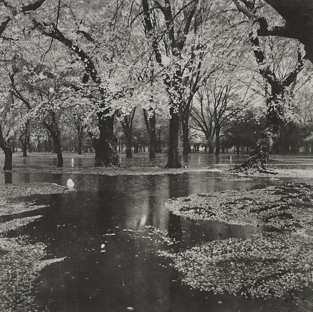 2017_27CC?w=784&h=640&q=100