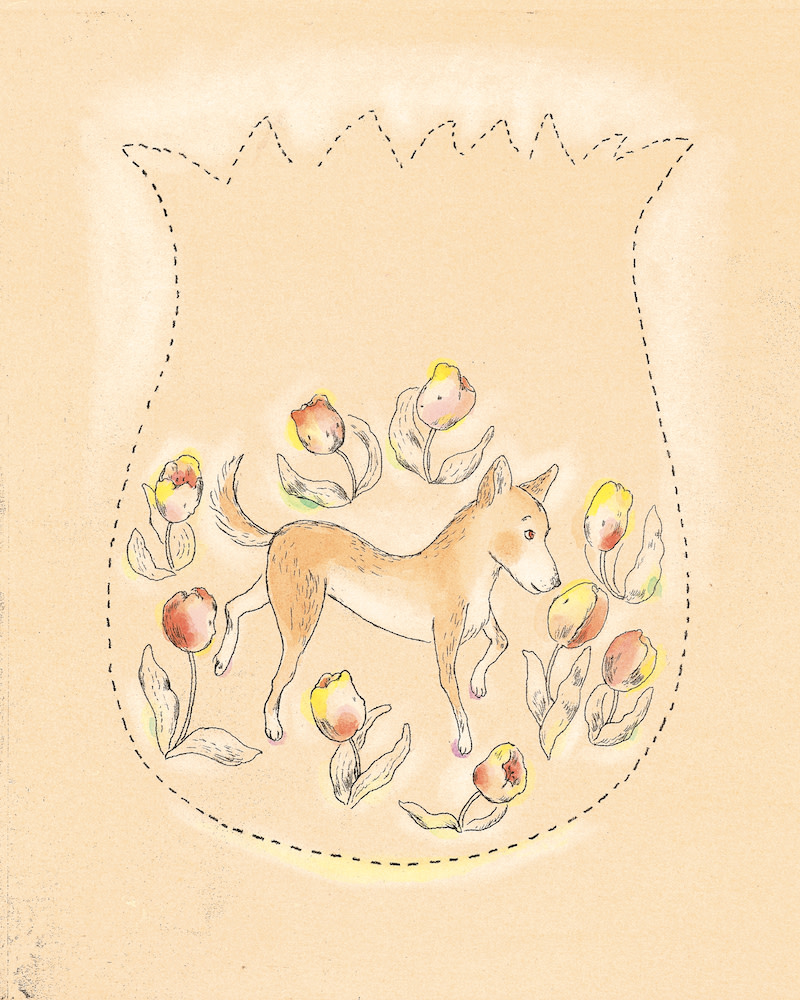 830C 山本容子 版画集 限定50部 オリジナル エッチング 動物 ファイル入