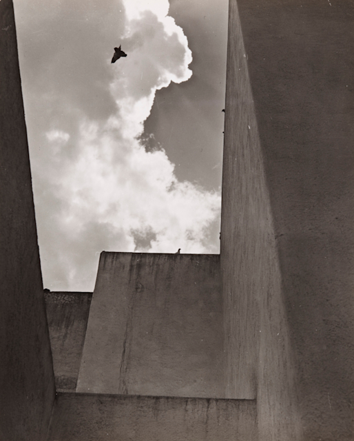 2017_85E9?w=784&h=640&q=100