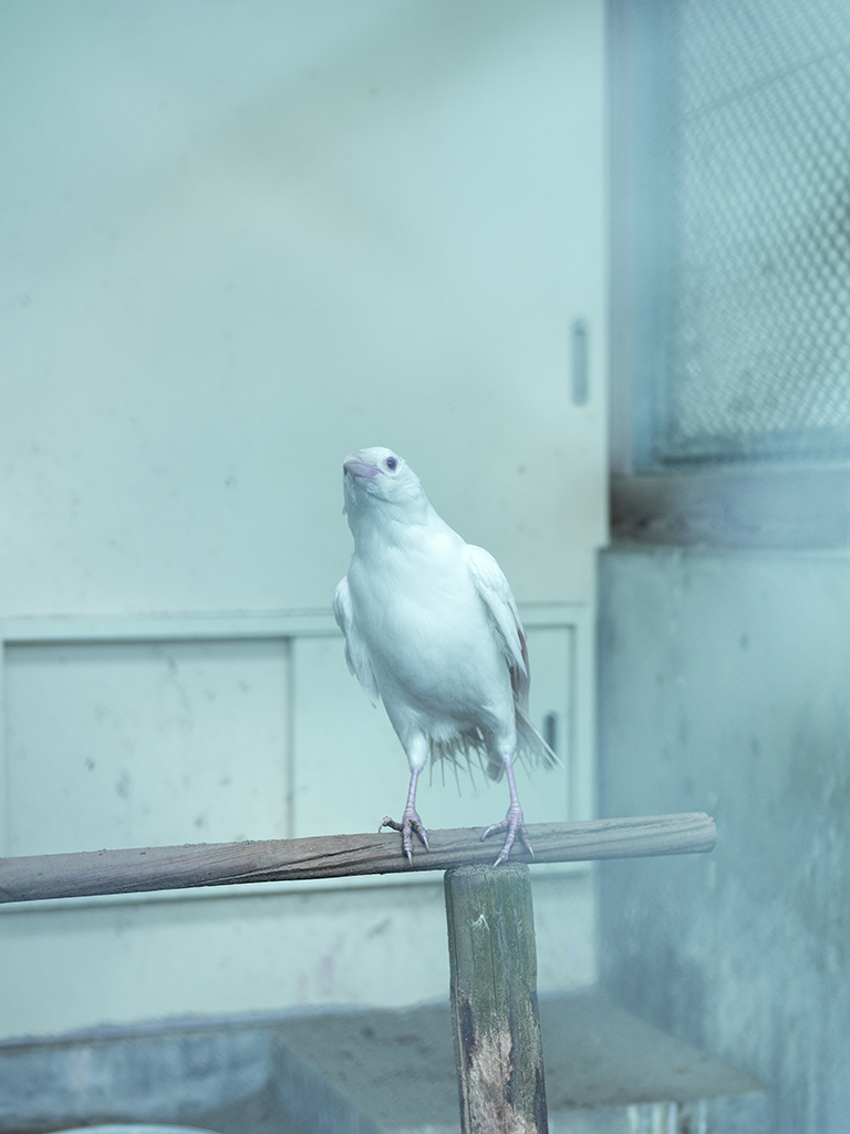 竹之内祐幸 「Things will get better over time」 （Gallery TRAX