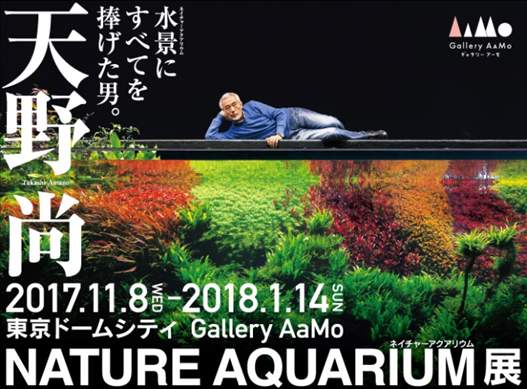 天野尚 「NATURE AQUARIUM」展 （Gallery AaMo（ギャラリーアーモ