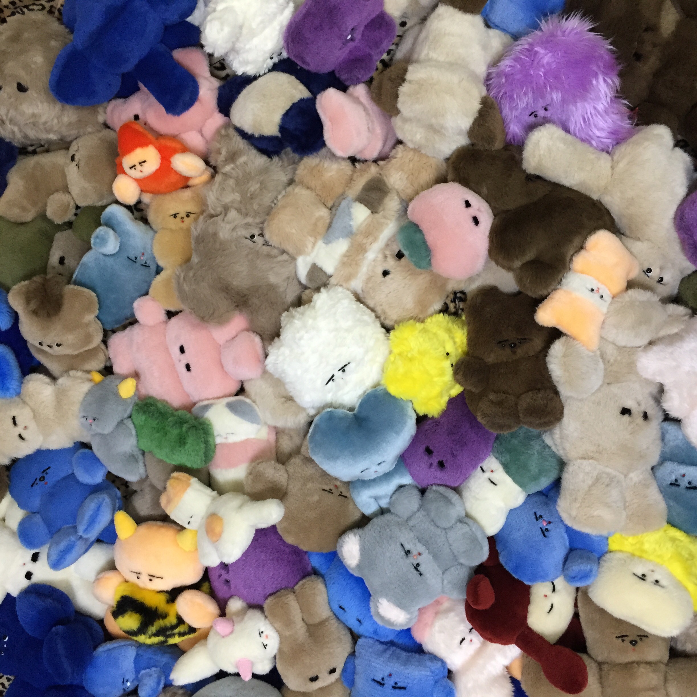 片岡メリヤス 「Biodiversity」 （Lamp harajuku） ｜Tokyo Art Beat