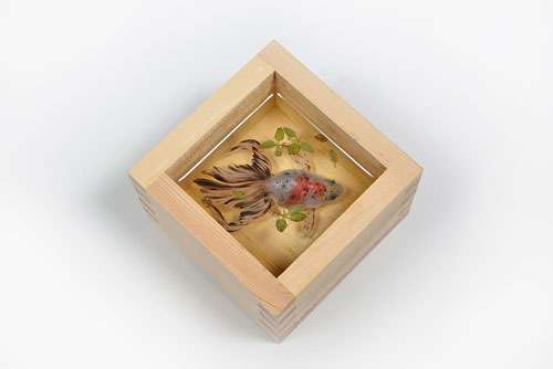 深堀隆介 「平成しんちう屋」 （平塚市美術館） ｜Tokyo Art Beat