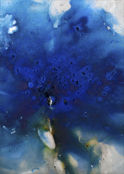 山口和也 「Eternal trace Flowers」 （Hideharu Fukasaku Gallery