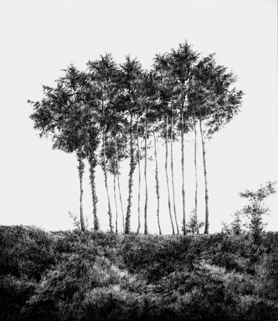 日高理恵子 「見ること」 （小山登美夫ギャラリー六本木） ｜Tokyo Art