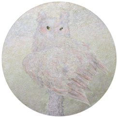 岡田豊 「心世界のフクロウ」 （s+arts） ｜Tokyo Art Beat