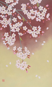 2018_5570?w=244&h=304&q=100