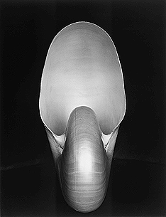 アメリカ 20世紀 コレクション 21_21 DESIGN SIGHT 企画展「そのとき、どうする？展 防災のこれからを