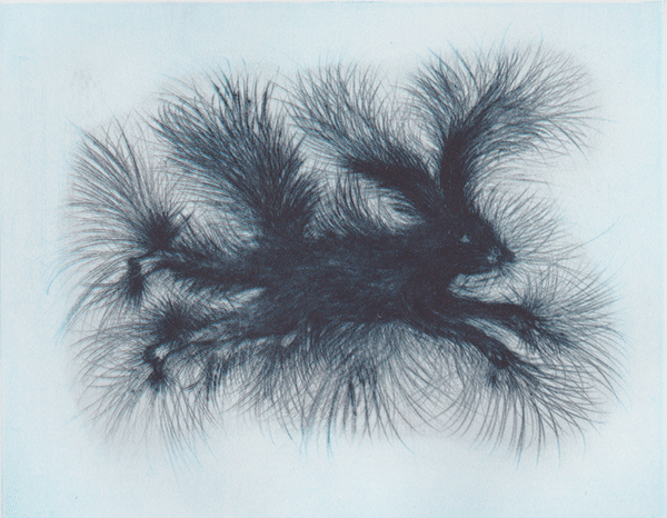 鴻池朋子 「Little fur anger」 （ギャラリー キドプレス） ｜Tokyo