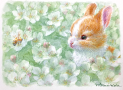 2018_B700?w=244&h=304&q=100