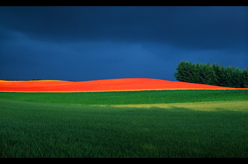 Shinzo Maeda, a Photographic Explorer Seeking Color: The Quest for 