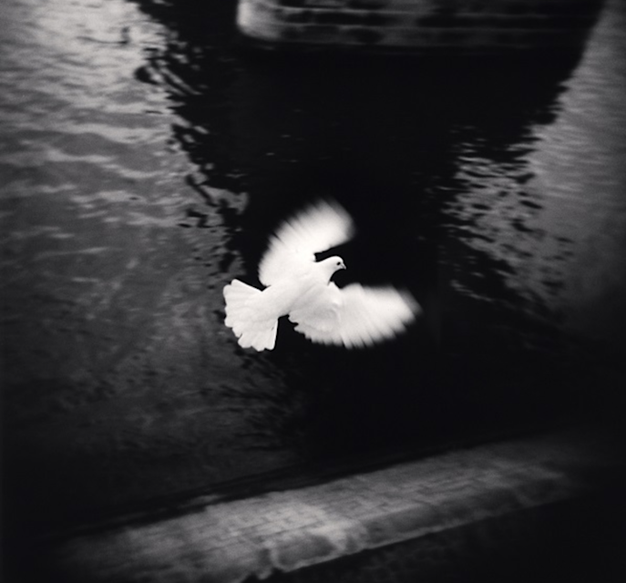 Michael Kenna 45 A Year Odyssey マイケル・ケンナ A 45 years odyssey - Michael KENNA | shashasha - Photography