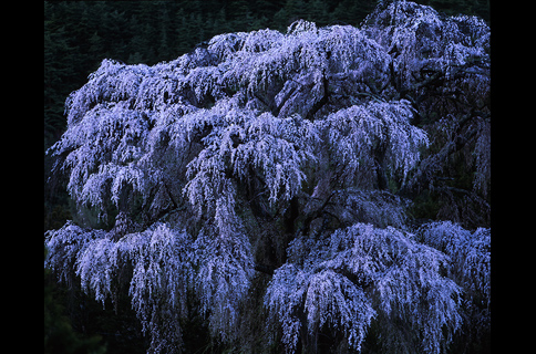 2019_3126?w=784&h=640&q=70&fm=webp