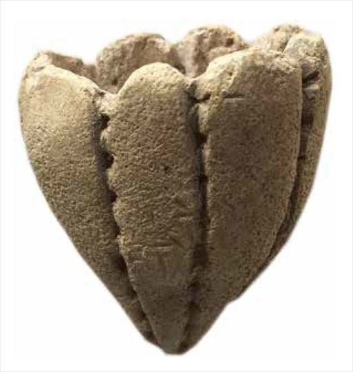 小林 中古】 電気機器・材料/オーム社/島村茂 LEDズームライト 防水 300lm