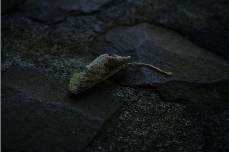 メディアアーティスト・落合陽一の世界『質量への憧憬 〜前計算機自然