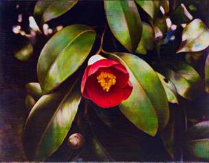 片口直樹 「鈍色の森」 （ギャラリー桜林） ｜Tokyo Art Beat