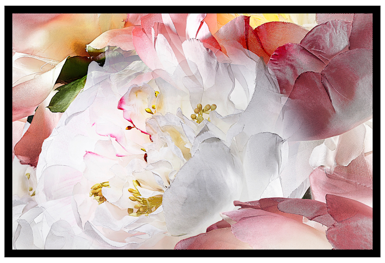 藤間謙二 「Artificial Flowers」 （KANA KAWANISHI PHOTOGRAPHY