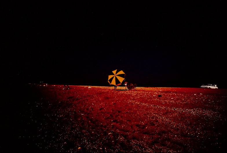 芸術写真 I need フォックス・タルボット賞40周年記念展 - 281/意欲とイメージの軌跡