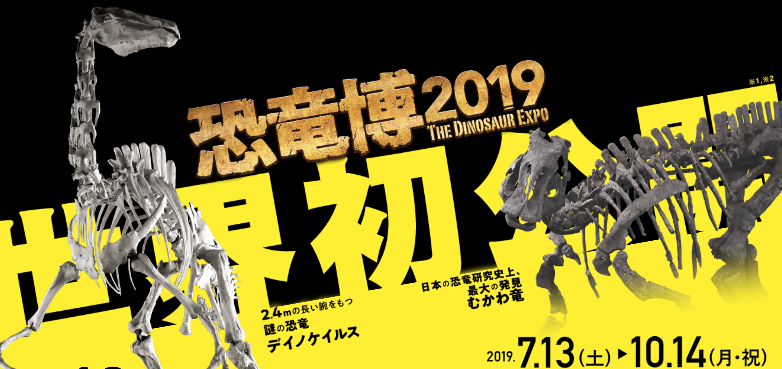 恐竜博2019 The Dinosaur Expo 恐竜博2019 The Dinosaur Expo - メルカリ