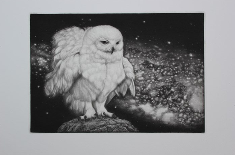 生田宏司　銅版画 特別企画 生田宏司氏 アーティストトーク・銅版画の