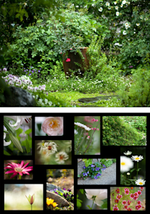 2020_1EB2?w=244&h=304&q=100