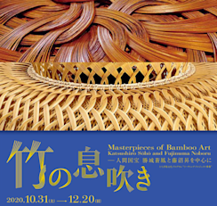 2020_2786?w=244&h=304&q=100