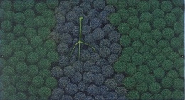 浜口陽三 「ぶどうとレモン」 （武蔵野市立吉祥寺美術館） ｜Tokyo Art