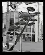 Gerry Johansson 「Ehime」 （book obscura） ｜Tokyo Art Beat