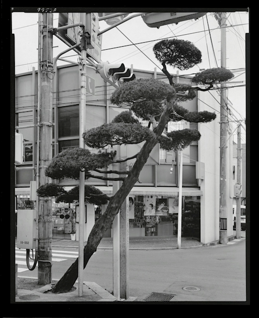 Gerry Johansson 「Ehime」 （book obscura） ｜Tokyo Art Beat