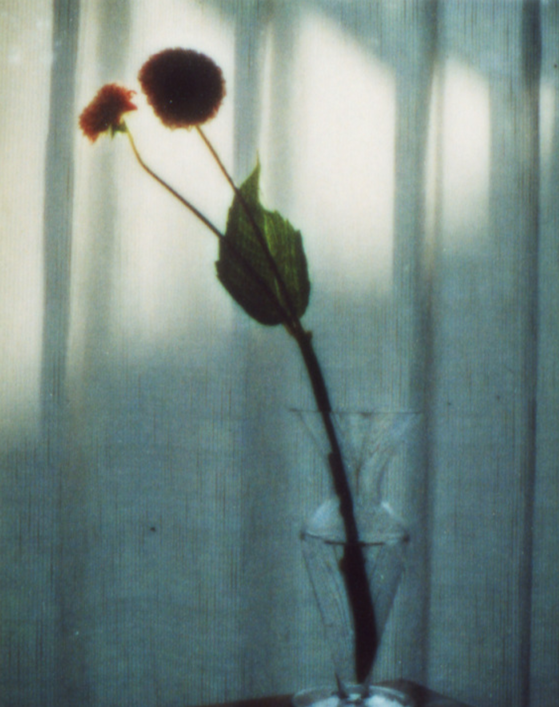 Yoshiyuki Okuyama “Flowers” （Parco Museum Tokyo） ｜Tokyo Art Beat