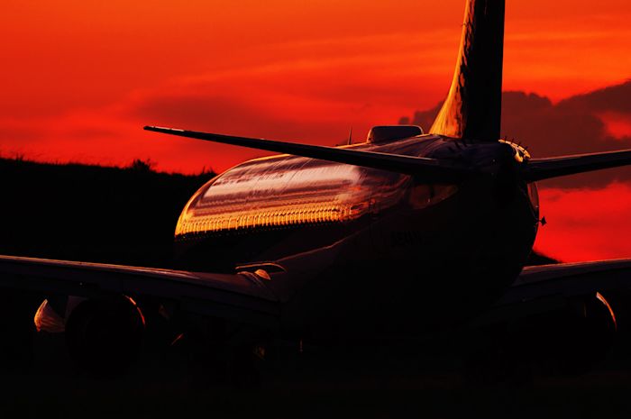 T Fujiba 空港散歩 鳥取空港魅力の情景 リコーイメージングスクエア東京 Tokyo Art Beat