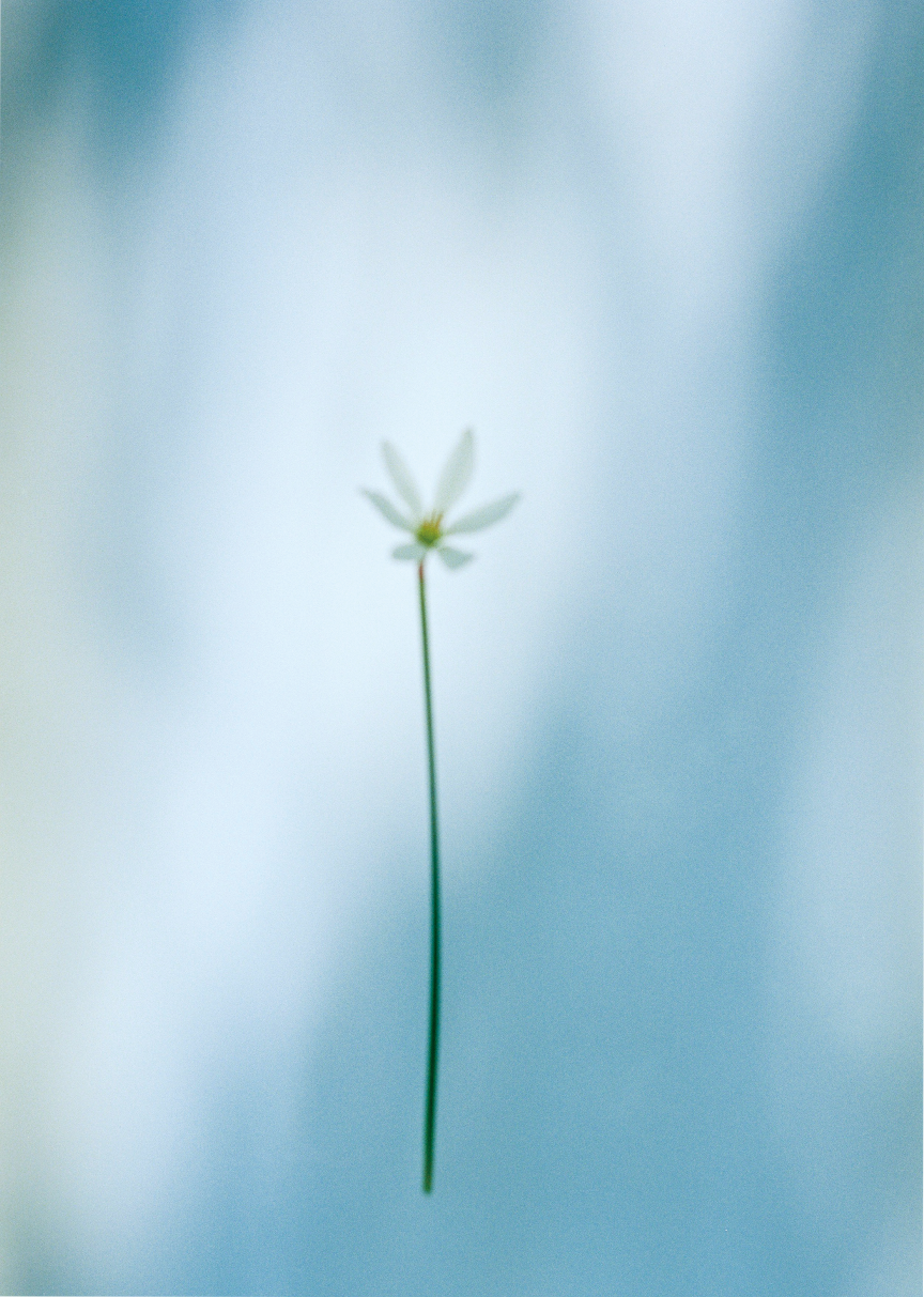 2021_0860?w=1200