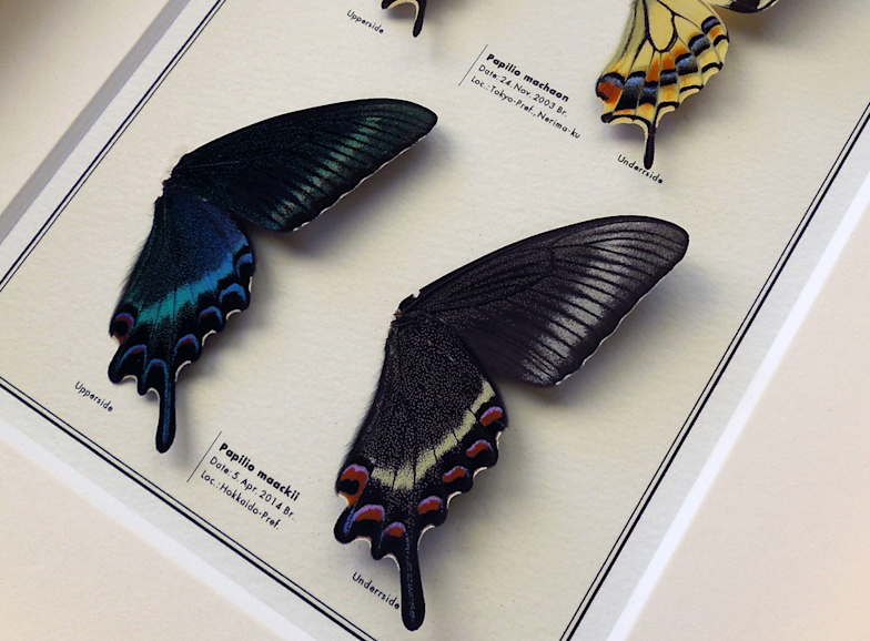 かが【標本】 まとめて 2021_0C11?w=784&h=640&q=100