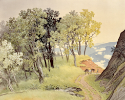 2021_1000?w=244&h=304&q=100