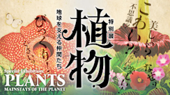 2021_3518?w=244&h=304&q=100