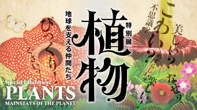 植物 地球を支える仲間たち」 （国立科学博物館） ｜Tokyo Art Beat