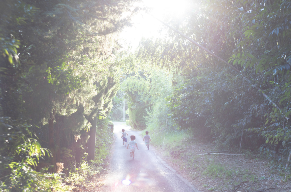 【サイン入】『Rikako Kawauchi: Works 2014-2022』 Rikako Kawauchi – Van der Grinten Galerie