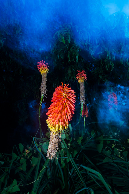 2021_8E12?w=784&h=640&q=100