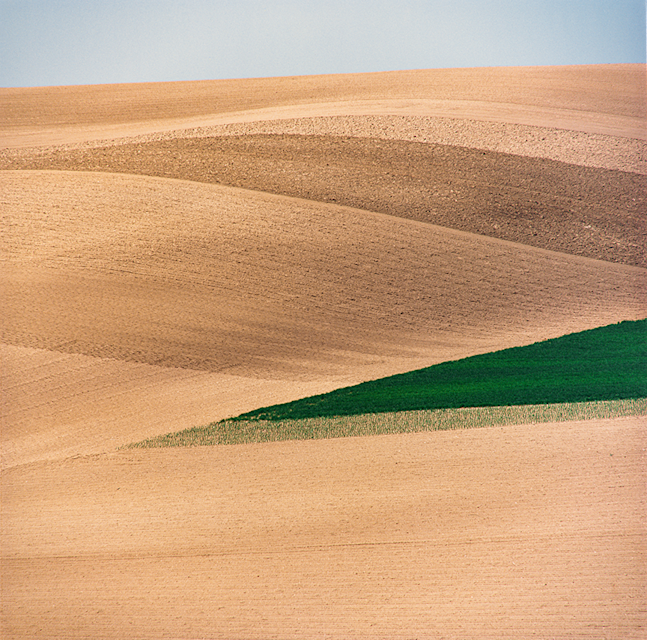 前田真三　風景写真(大) 前田真三が撮影した夏の丘のこの感じは、現在ではもう撮れないの