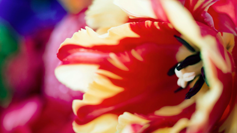 2021_E71F?w=784&h=640&q=100