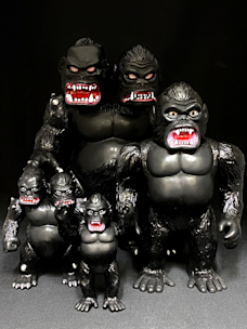 2021_E93A?w=244&h=304&q=100